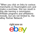 roamingtint logo